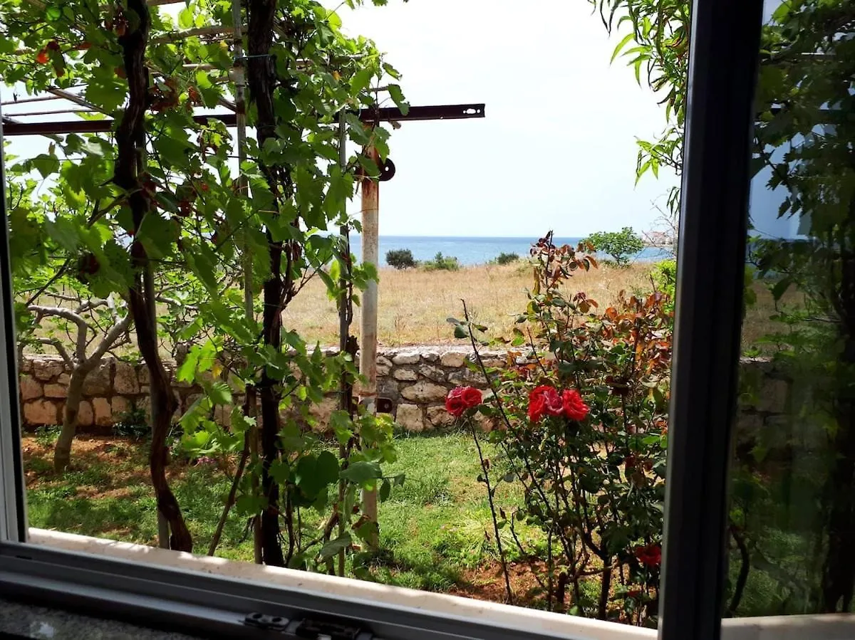 Private Apartment ,Surrounded By Nature,50M From The Sea 포블랴나 크로아티아